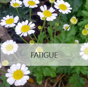 fatigue naturopathie rabastens
