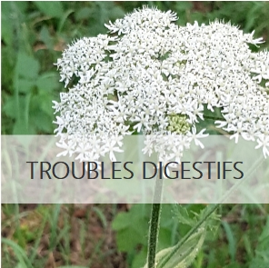 troubles digestifs naturopathie rabastens