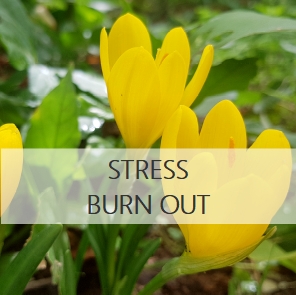 stress burn out naturopathie rabastens