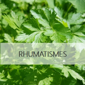 rhumatismes naturopathie rabastens